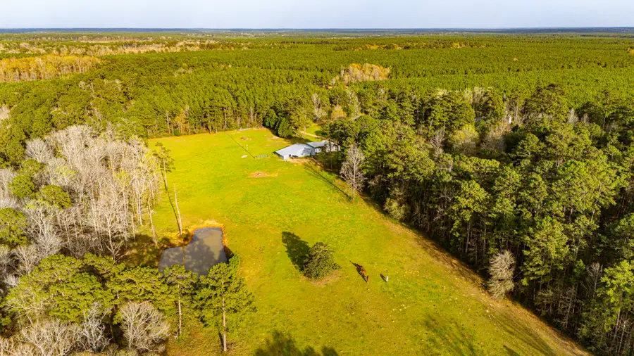 5146 Richardson Rd E, Livingston, TX 77351 - #3