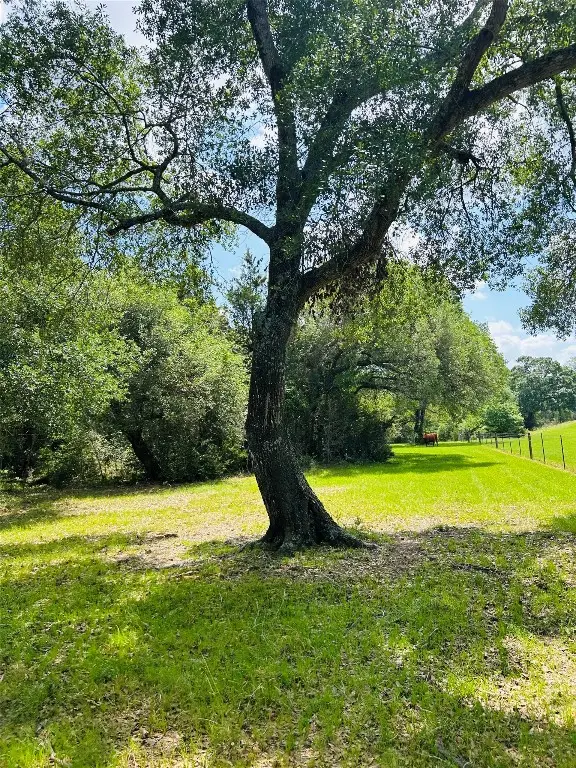 50 Acres Dunlavy, Cat Spring, TX 78933 - #2