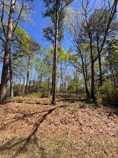 90 S Pine Harbour Drive, Coldspring, TX 77331 - #2