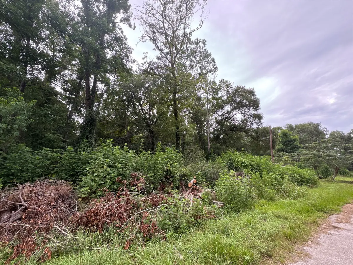 131 County Road 4282, Dayton, TX 77535 - #1