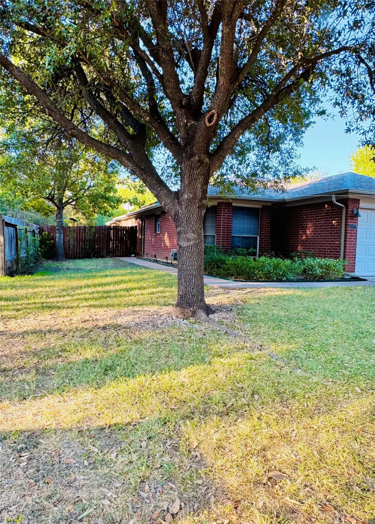 1007 Audra Street, Cedar Park, TX 78613 - #1