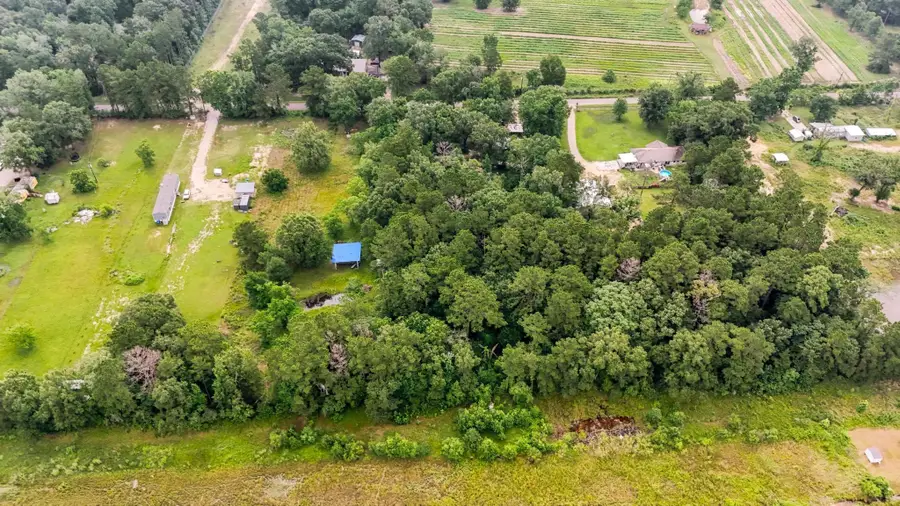 5936 Jernigan Road, Conroe, TX 77306 - #2
