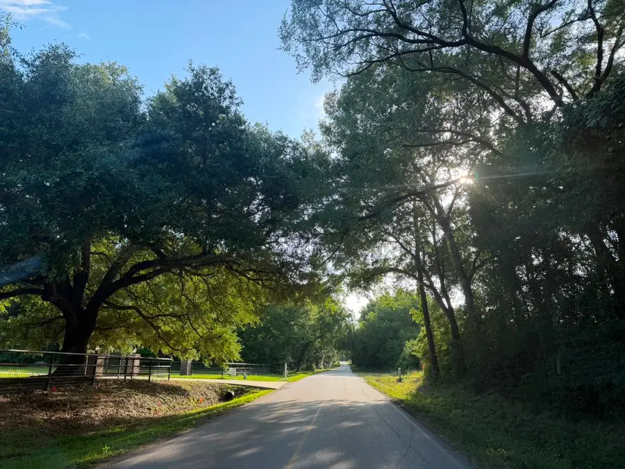 TDB Lot 4 Bellinger Road, Montgomery, TX 77316 - #3