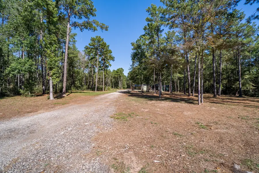 7377 Clark Road, Plantersville, TX 77363 - #3