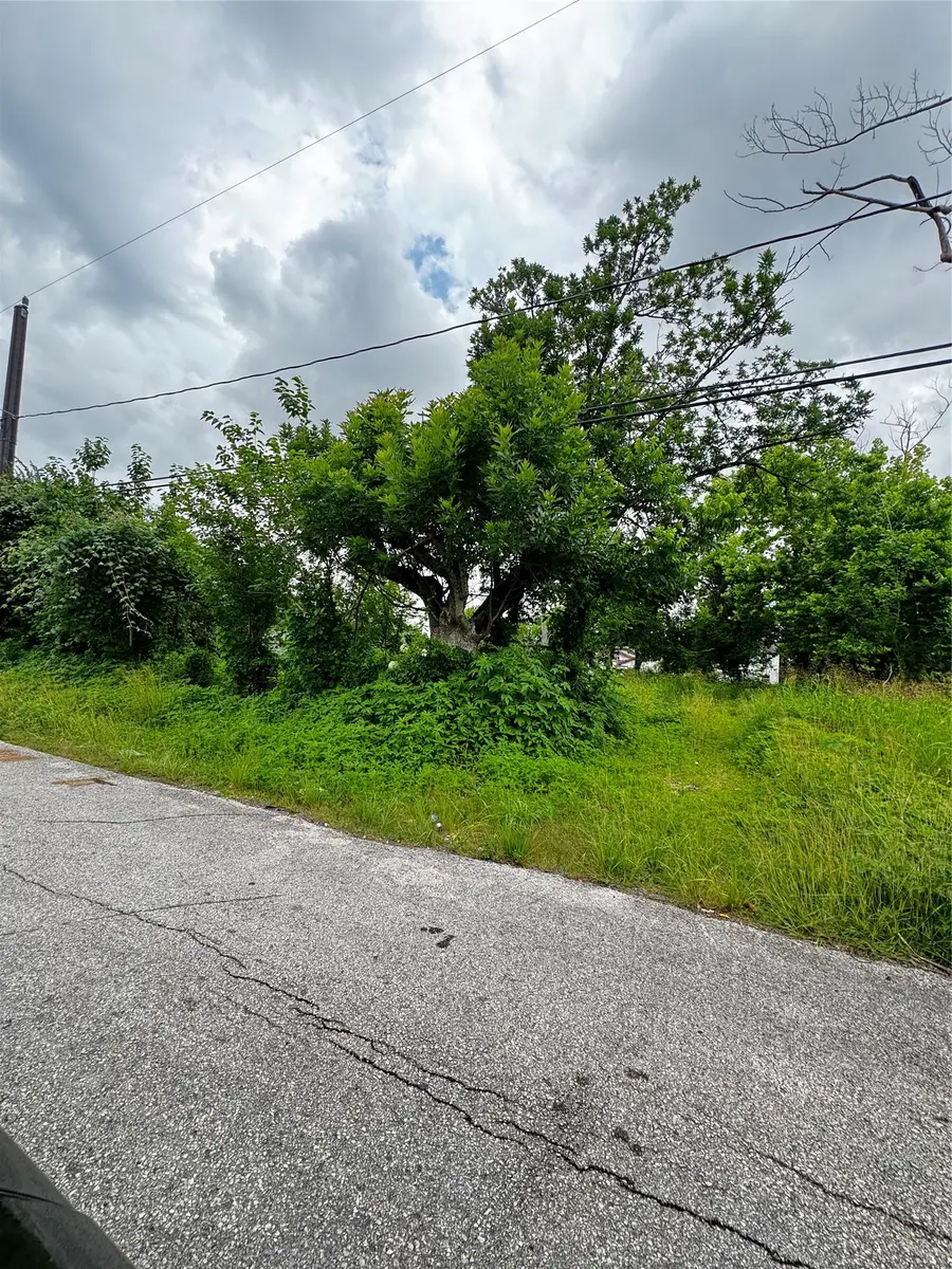 4702 Falls Street, Houston, TX 77026 - #2