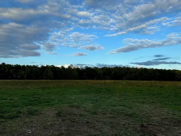 0000 Magee Bend Loop, Groveton, TX 75845