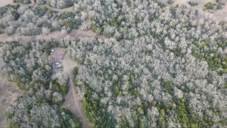 TBD County Road 427, Normangee, TX 77584 - Image #3