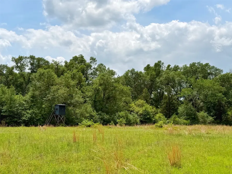 100 ac Cr 408, Normangee, TX 77871 - #2