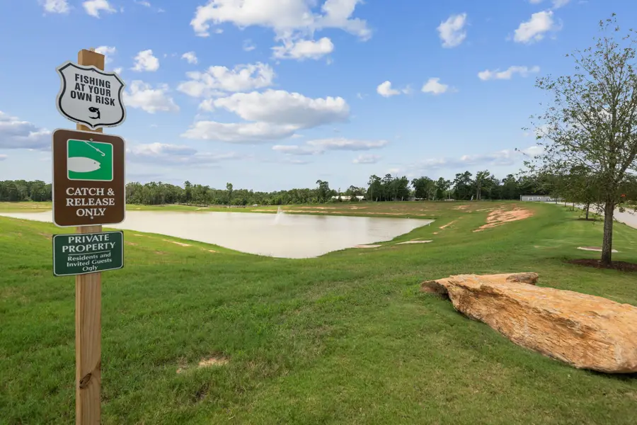 15415 Maple Terrace Drive, Conroe, TX 77303 - #2