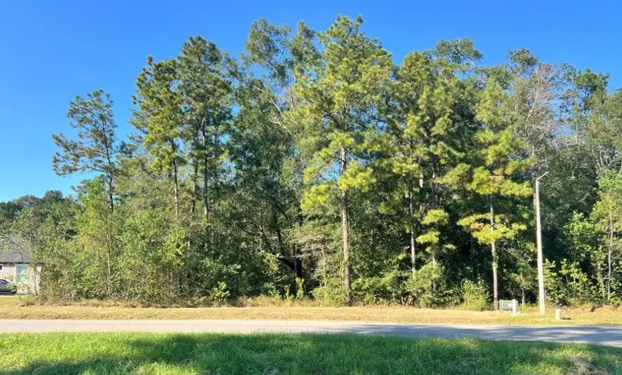 1001 Road 6609, Dayton, TX 77535 - Image #3