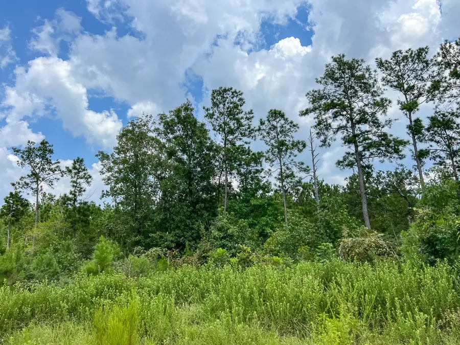 4 County Road 235, Browndell, TX 75931 - Image #3