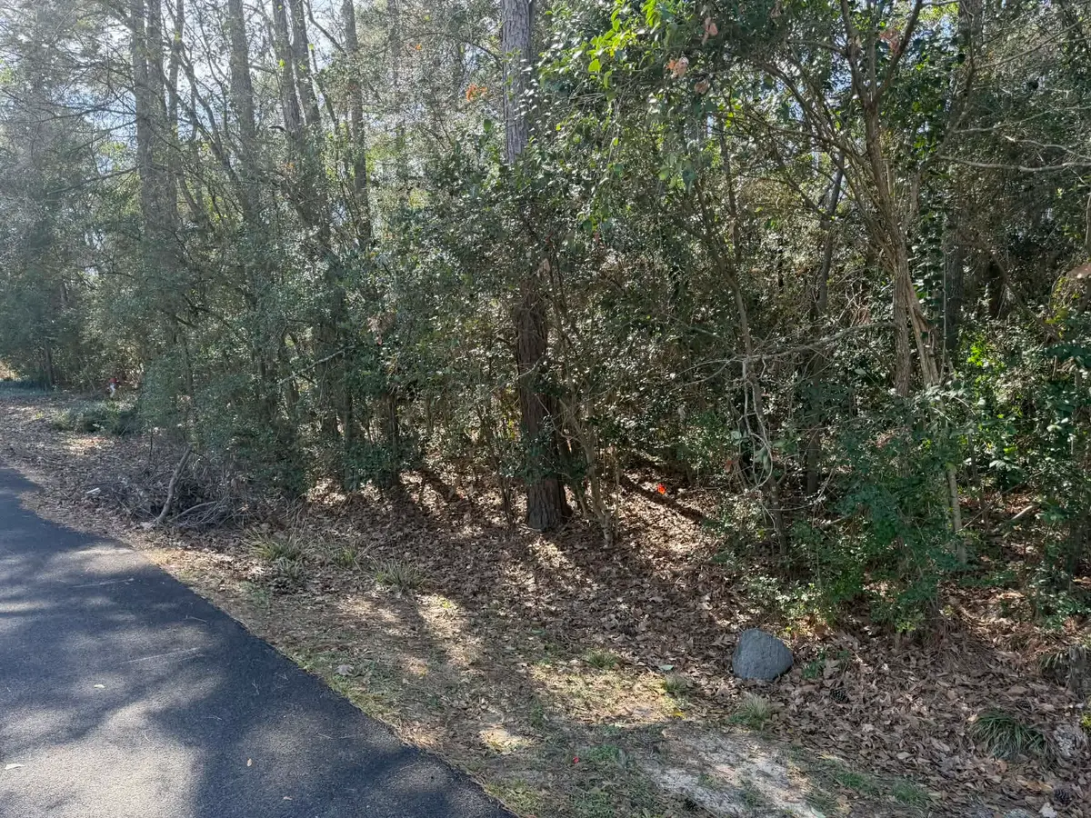 137 Paradise Valley Drive, Conroe, TX 77304 - #1