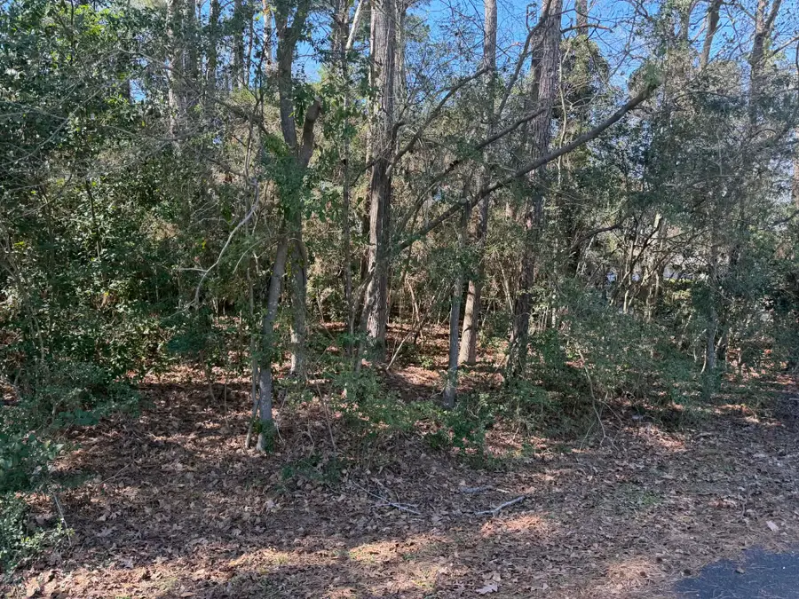 137 Paradise Valley Drive, Conroe, TX 77304 - #2