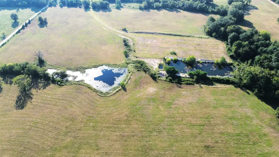 TBD County Road 3495, Lovelady, TX 75851 - Image #2