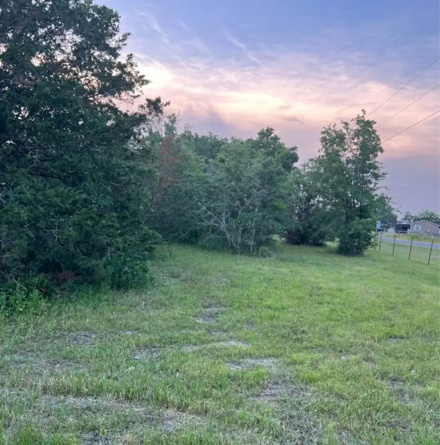 21564 Harrison Drive, Bedias, TX 77831 - #2