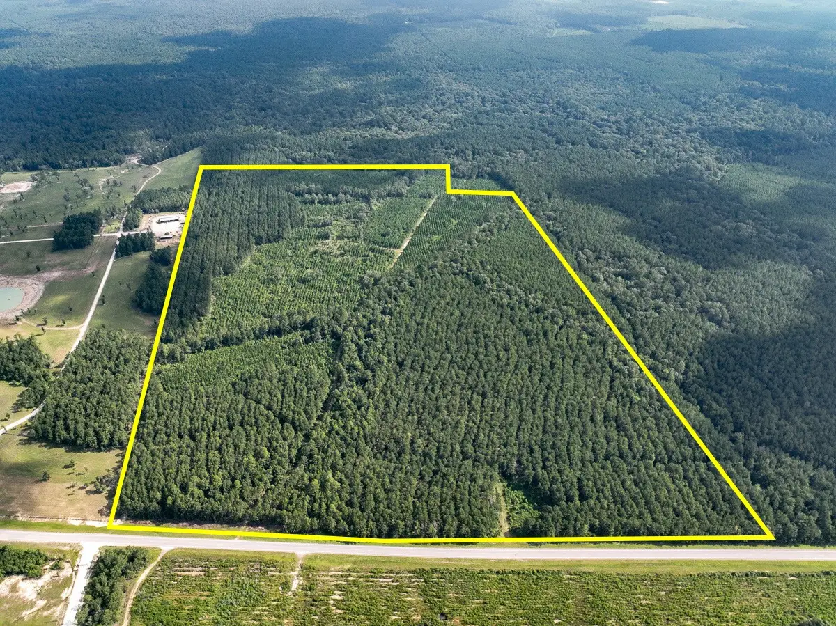 T-1 Fm 943, Kountze, TX 77625 - #1