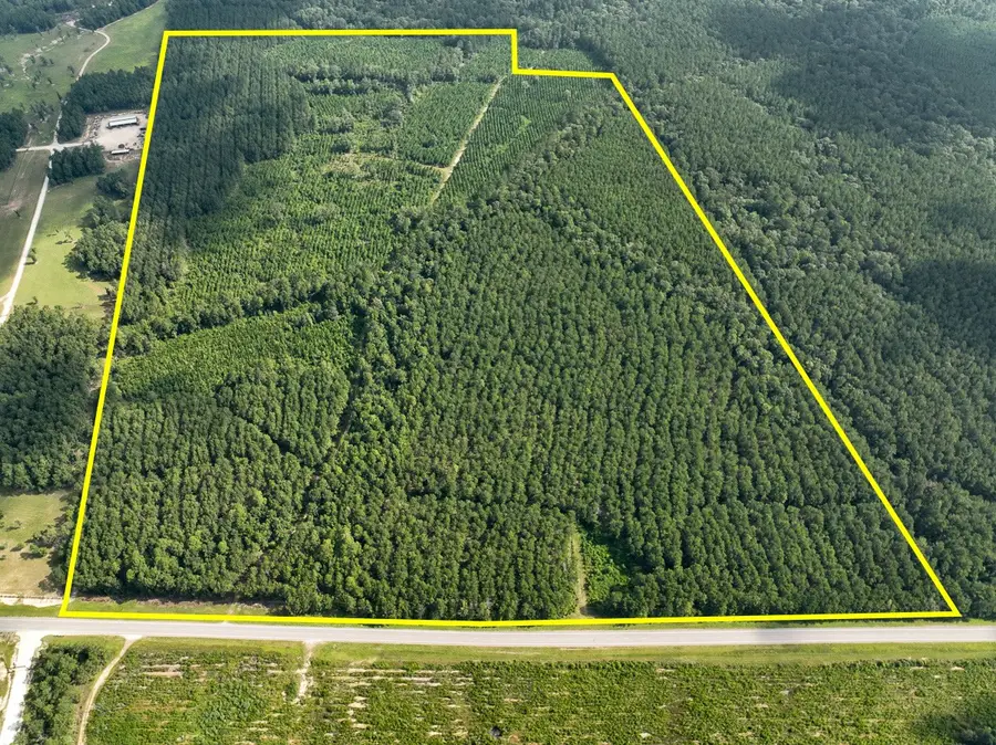 T-1 Fm 943, Kountze, TX 77625 - #2
