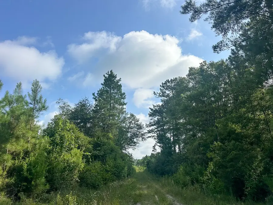 T-1 Fm 943, Kountze, TX 77625 - #3