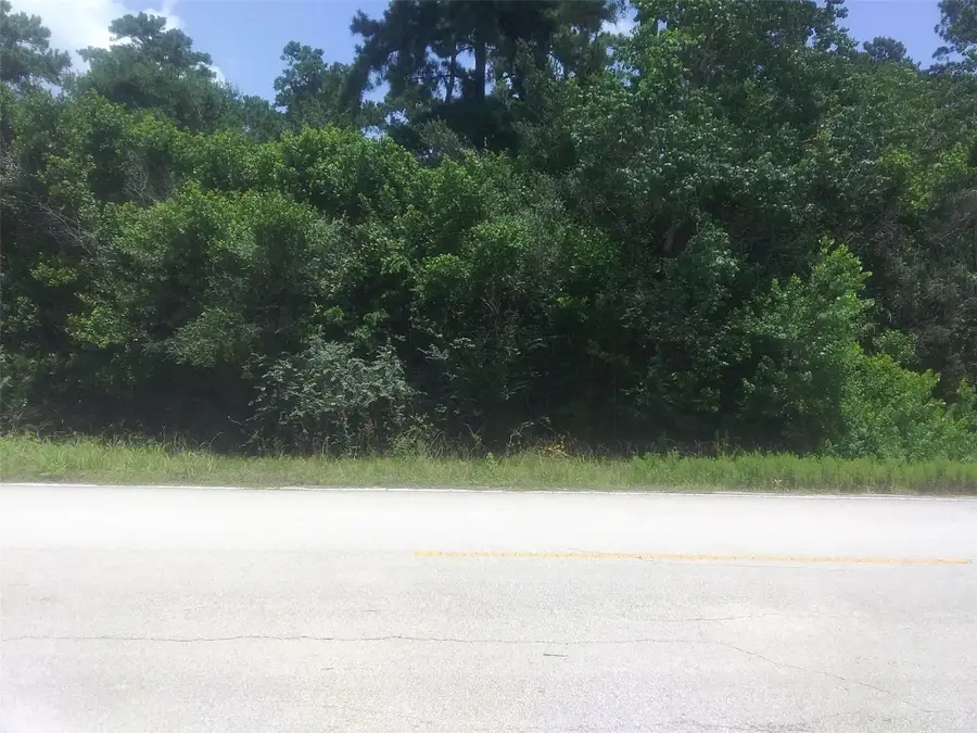 Lot 45 Moore Street, Tomball, TX 77375 - Image #2