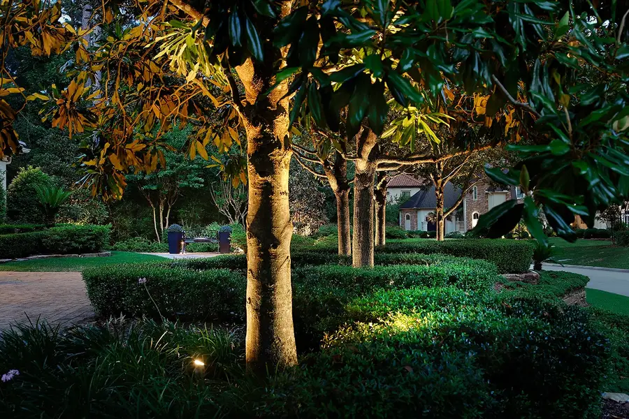 14 N Palmiera Circle, The Woodlands, TX 77382 - Image #3