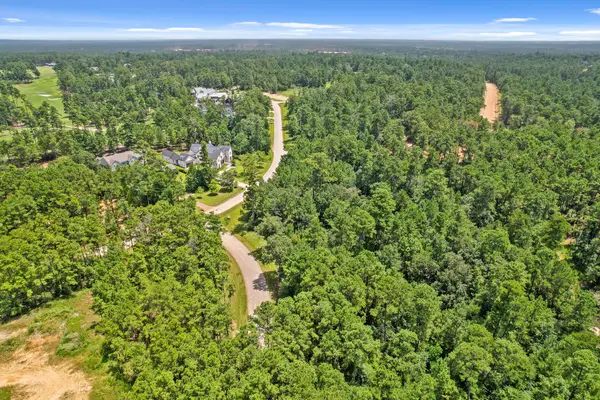 4059 Augusta Drive, Montgomery, TX 77316