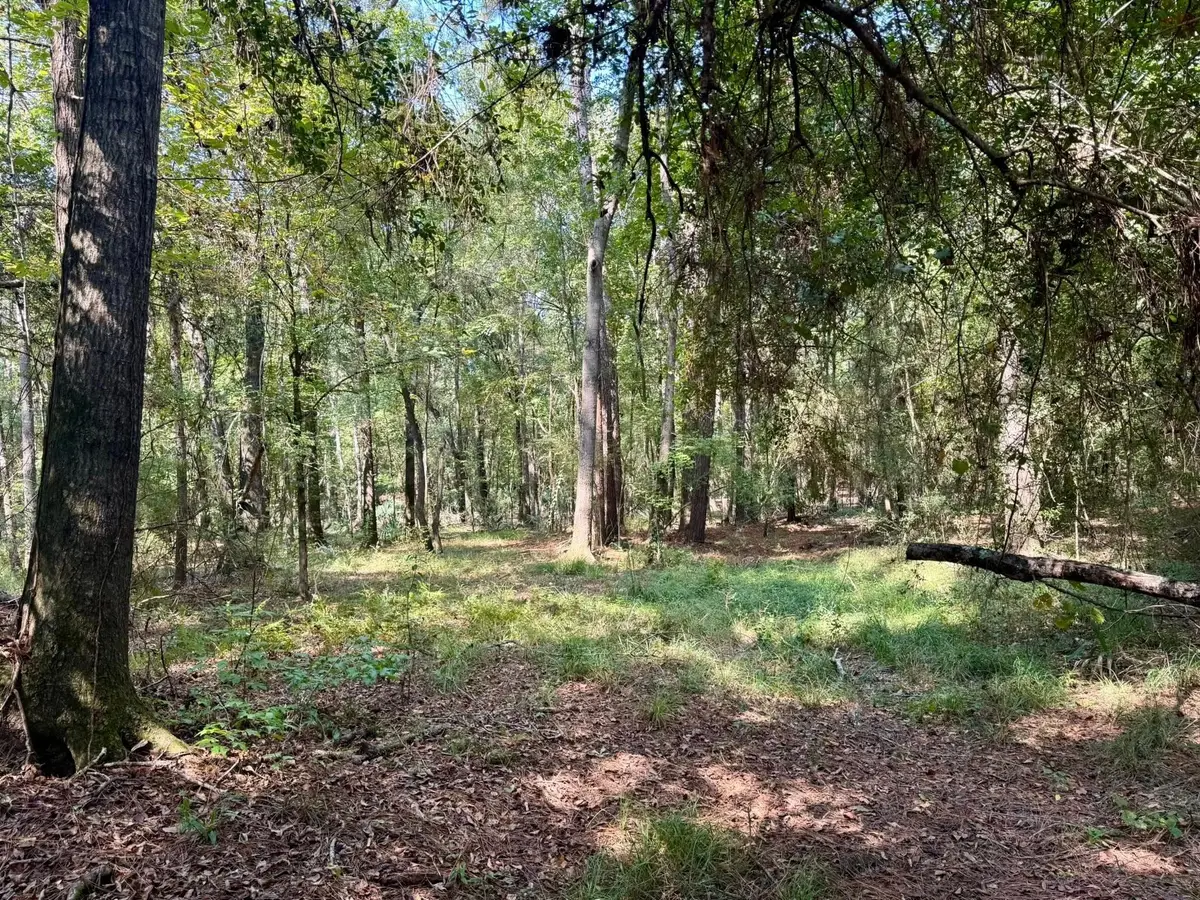 TBD Stonetown Road, Beaumont, TX 77713 - Image #1