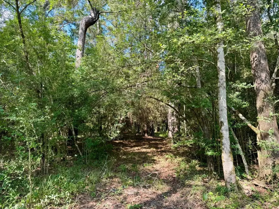 TBD Stonetown Road, Beaumont, TX 77713 - Image #2