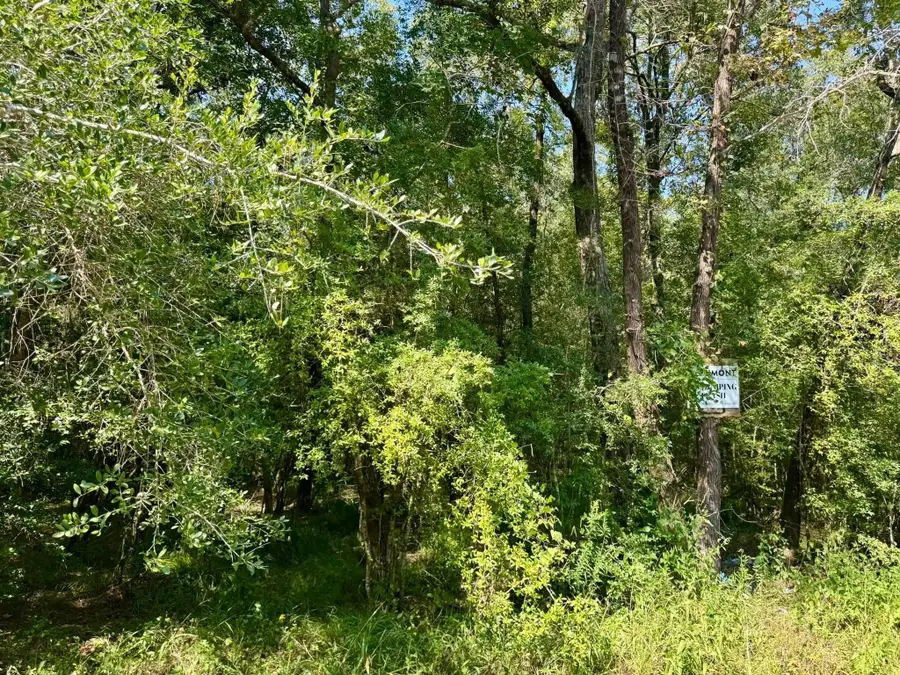 TBD Stonetown Road, Beaumont, TX 77713 - Image #3