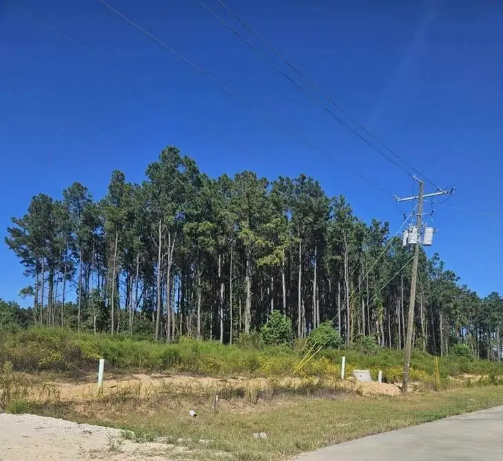 2049 Road 5913, Cleveland, TX 77327 - #1