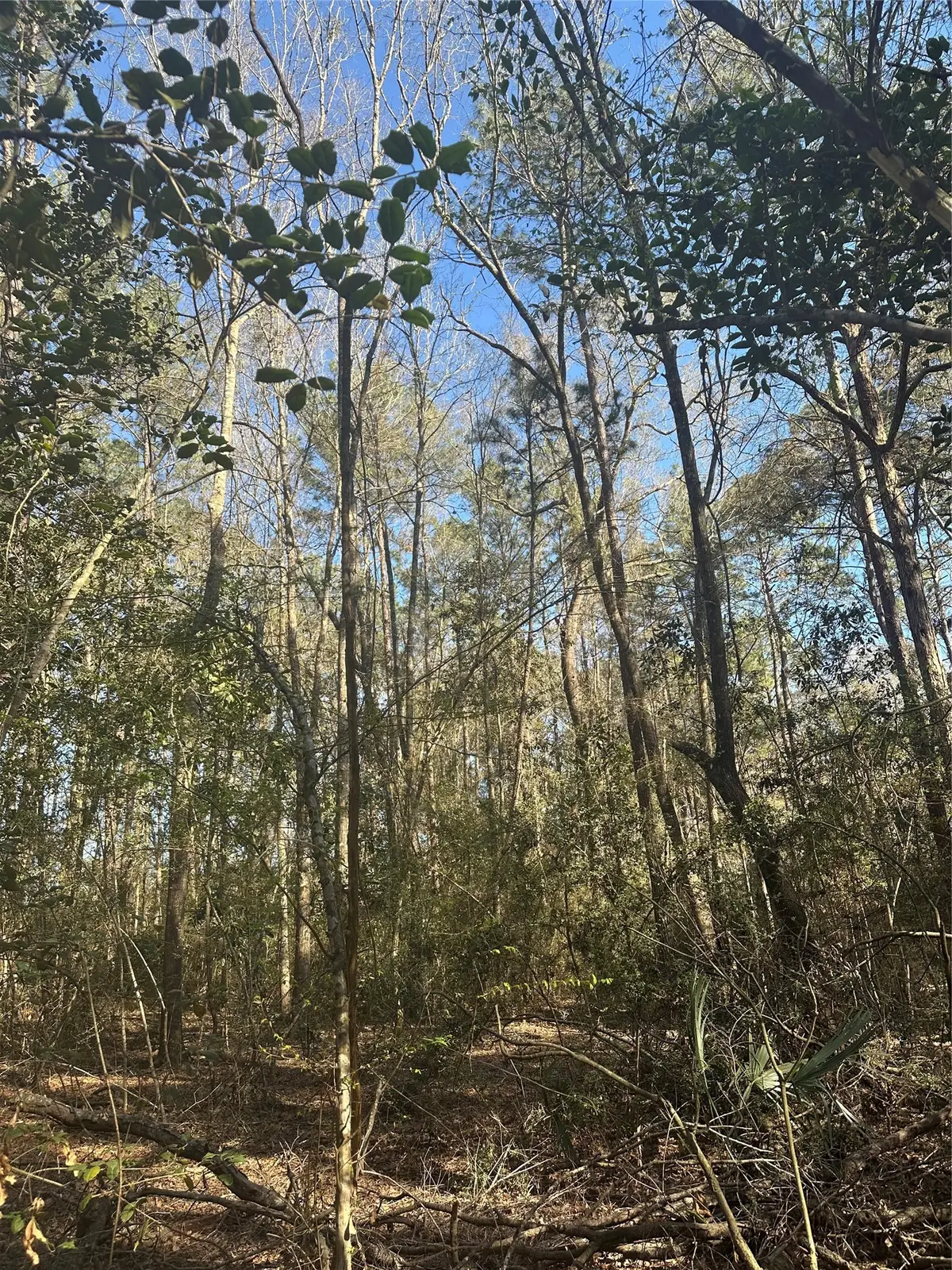 2986 Hargraves Road, Huffman, TX 77336 - #1