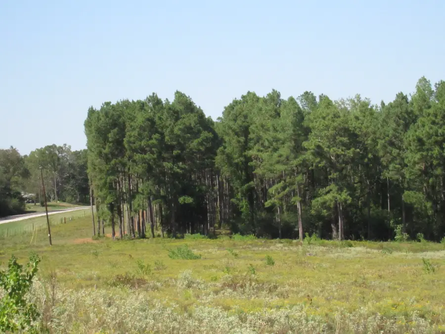 000 20 Fm256 N, Woodville, TX 75979 - #3