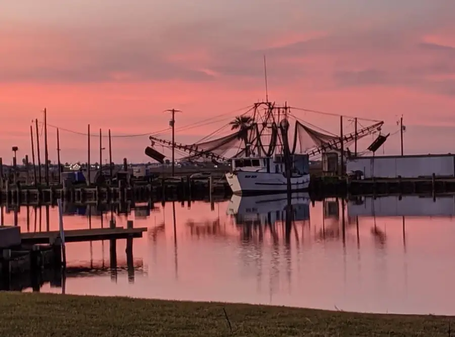 624 County Road 299, Sargent, TX 77414 - #3