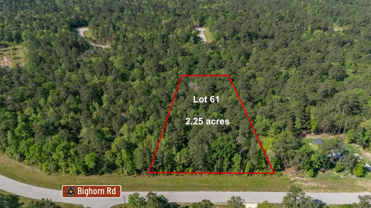 1 Bighorn Road, Huntsville, TX 77340 - Image #1