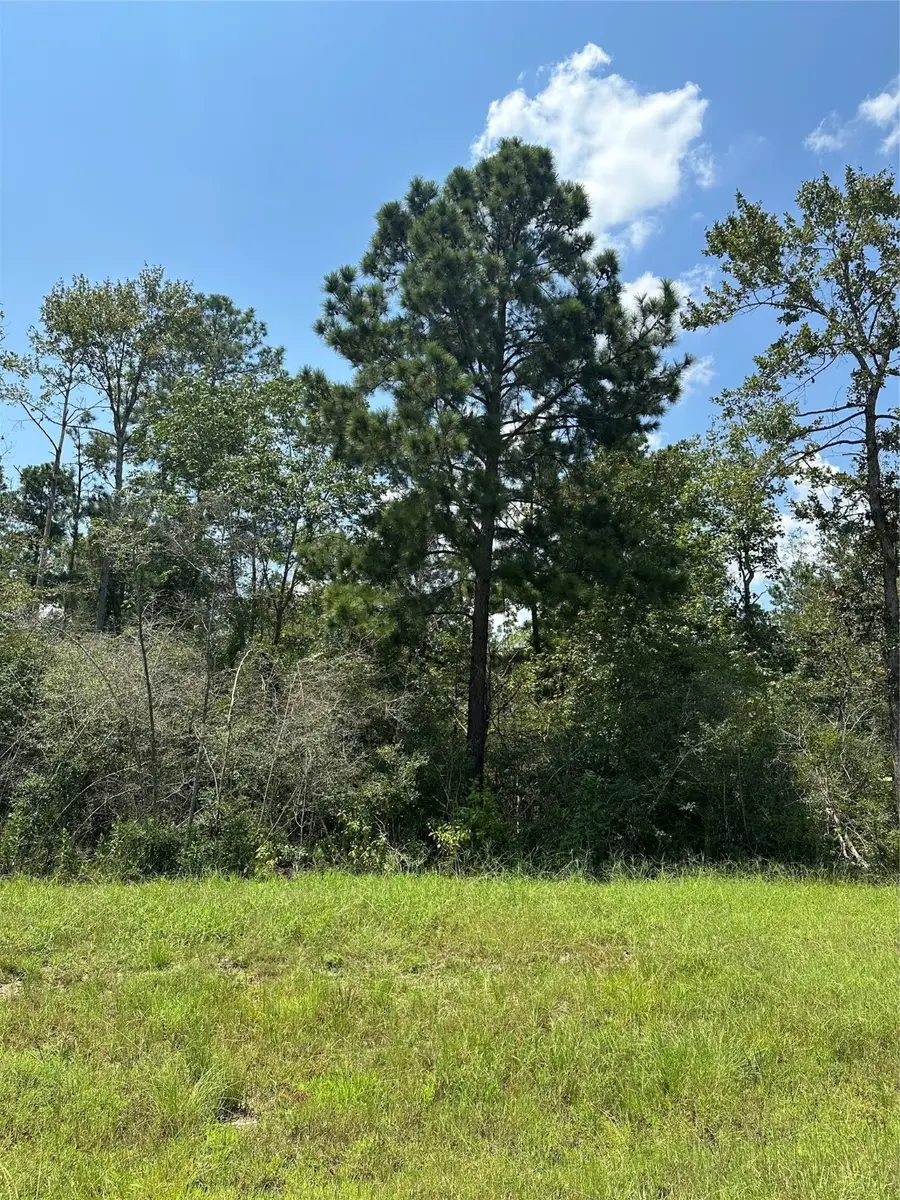 377 Exploration Road, New Waverly, TX 77358 - Image #3