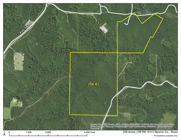 2 Off Fm 1414, Burkeville, TX 75966
