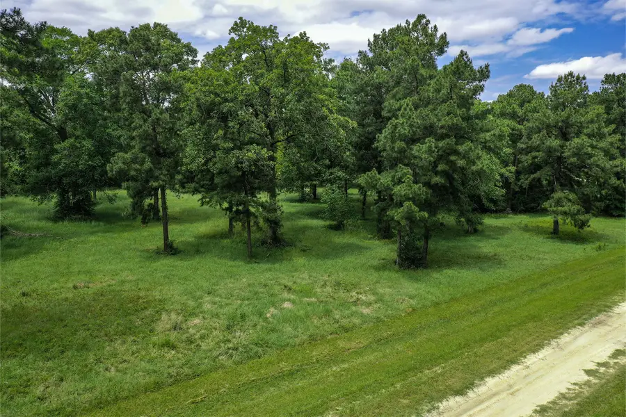 TBD Colomb Street, Trinity, TX 75862 - Image #2