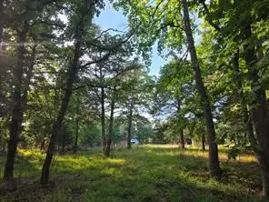 0 Timber Ridge, Larue, TX 75770 - #2
