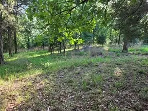 0 Timber Ridge, Larue, TX 75770 - #3