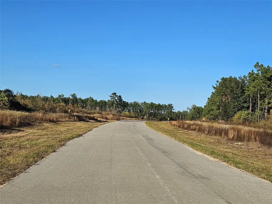 8026 Road 5891, Cleveland, TX 77327 - #2