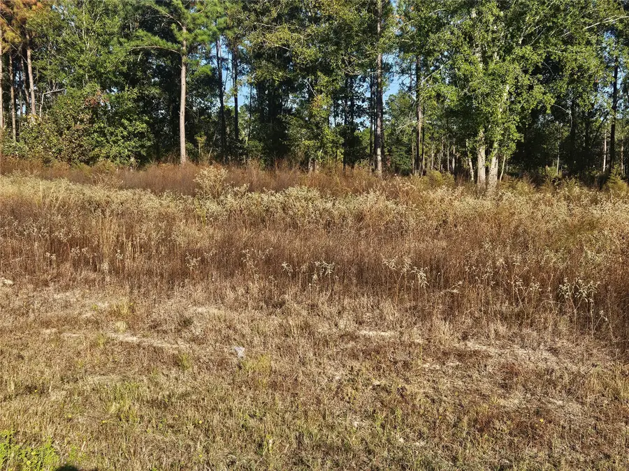 8026 Road 5891, Cleveland, TX 77327 - #3