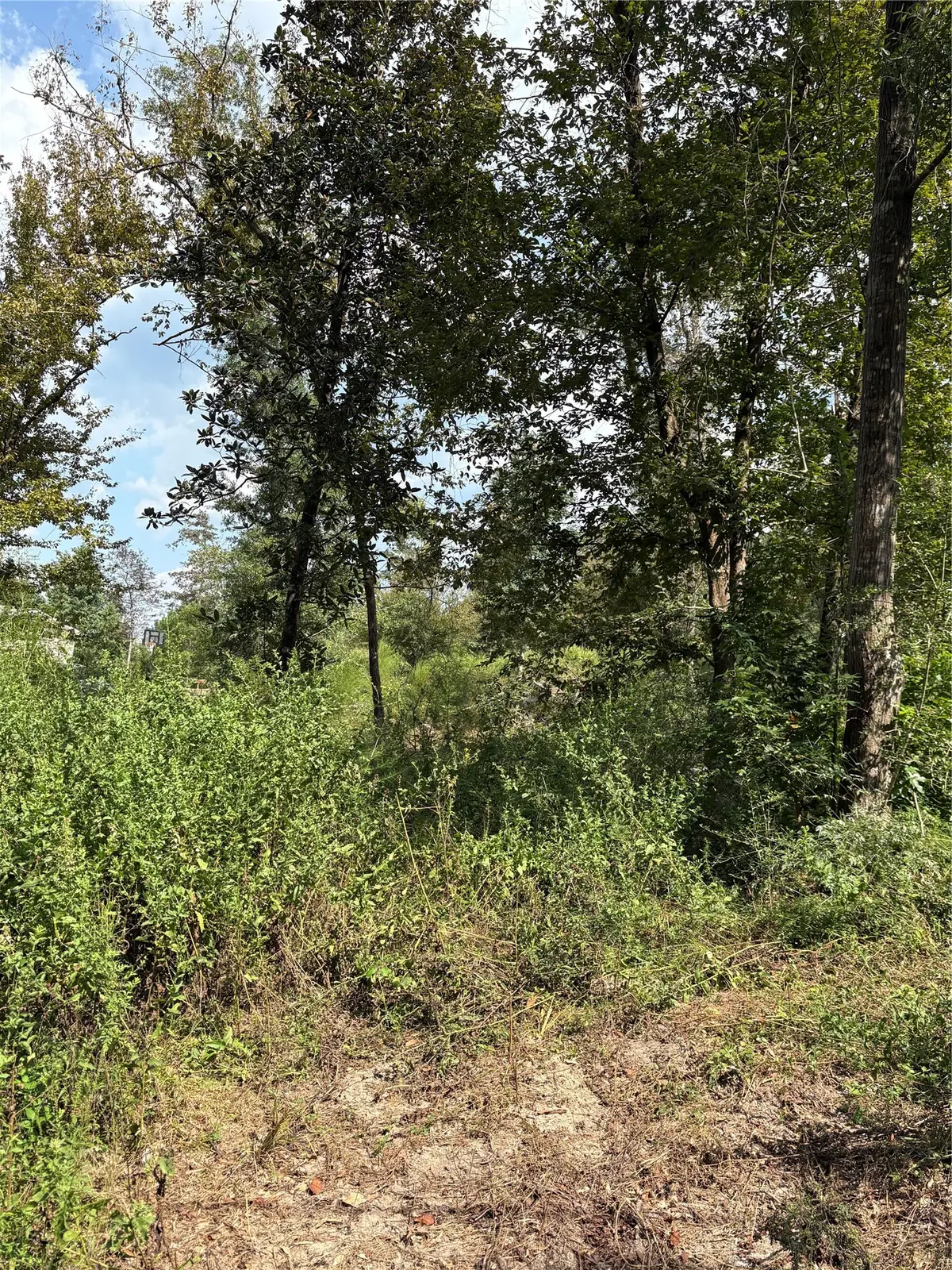 TBD Walnut Ridge Road, Livingston, TX 77351 - #1