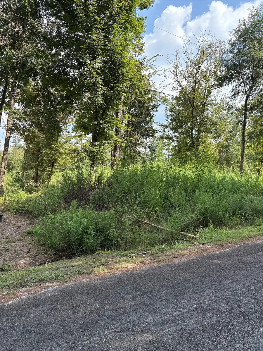 TBD Walnut Ridge Road, Livingston, TX 77351 - #2