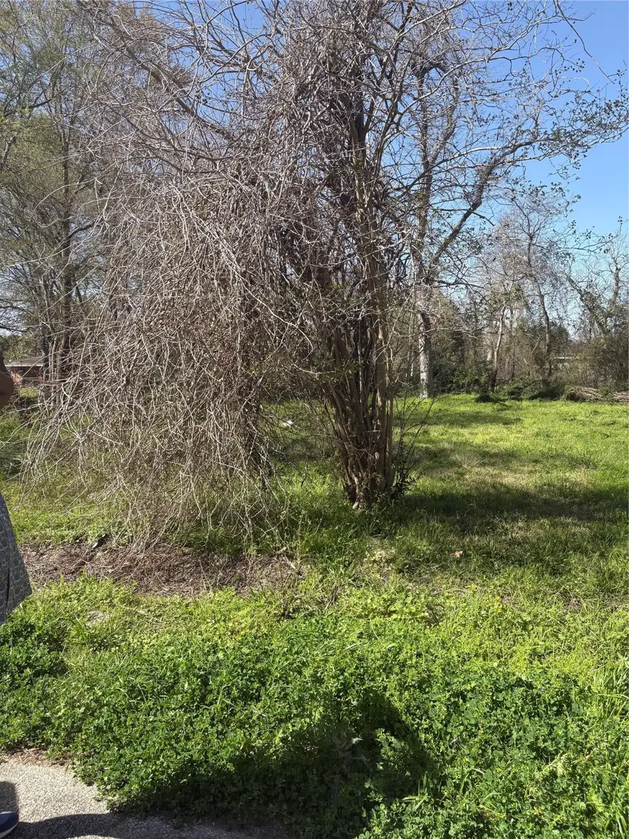 1043 Lincoln Street, Beaumont, TX 77701 - Image #3