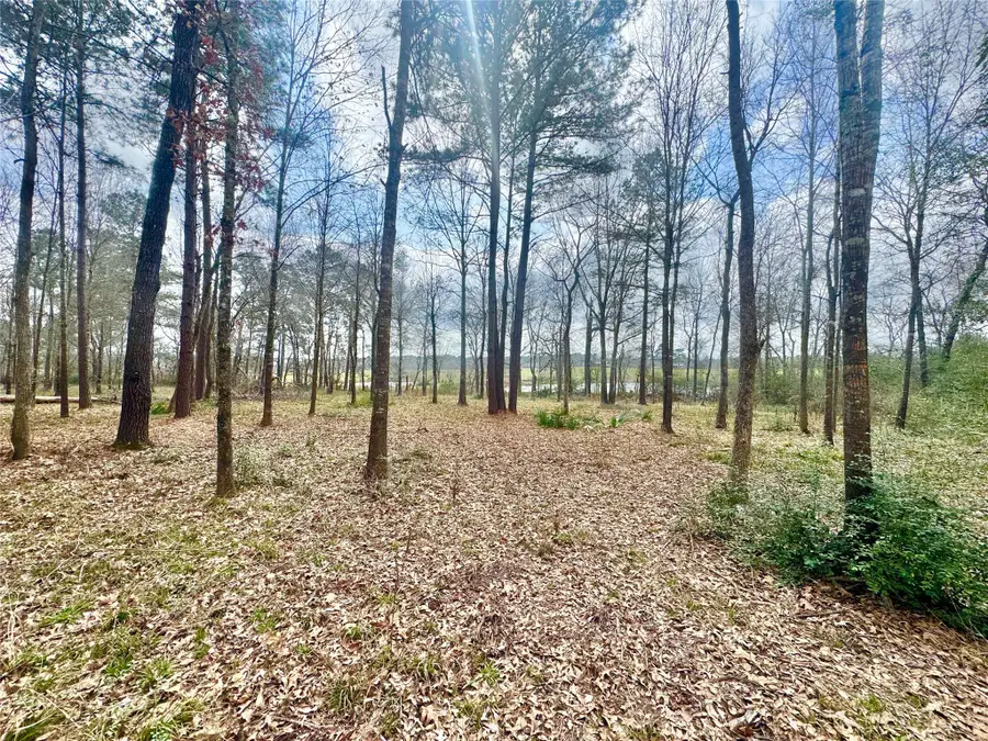 178 Stagecoach Circle, Huntsville, TX 77340 - #2