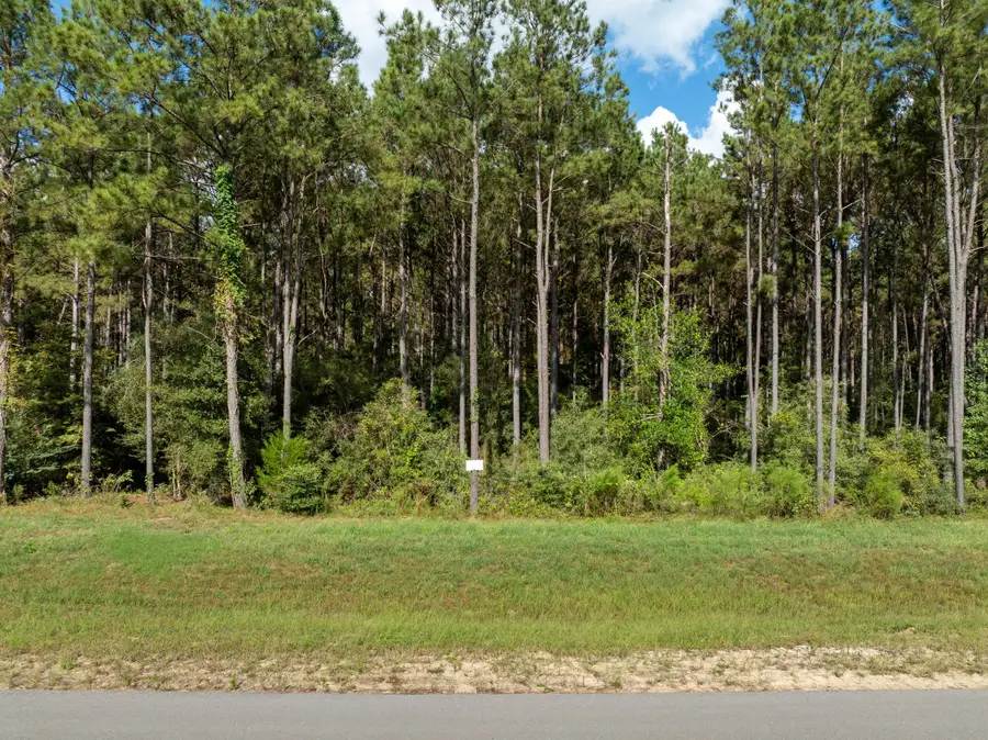 15427 Forest Grove Drive, Willis, TX 77378 - Image #2