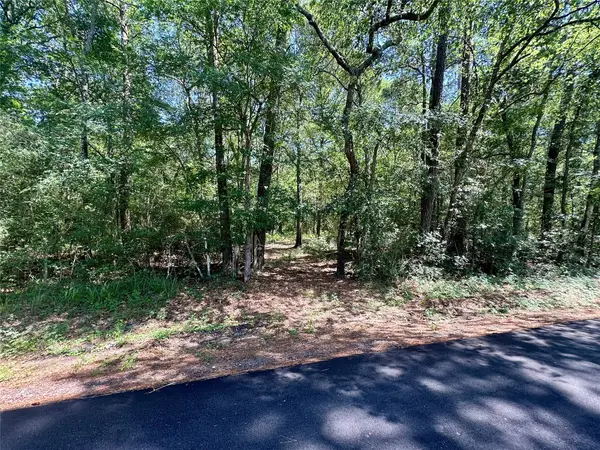 0 Taliaferro Road, Richards, TX 77873
