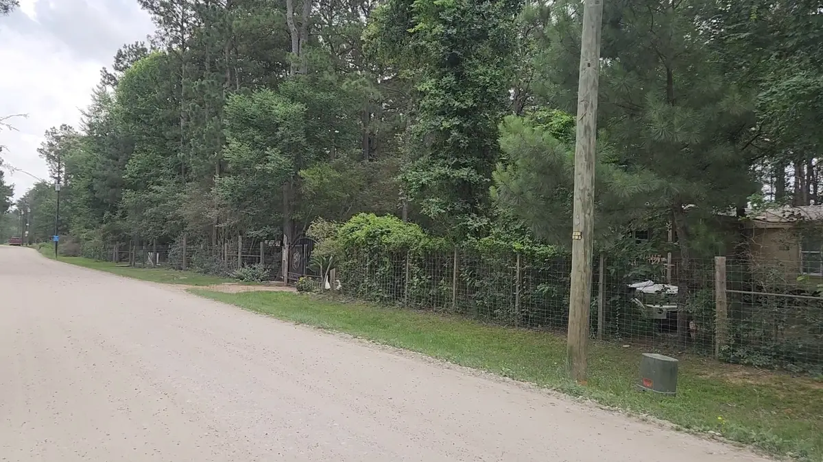 Lot 5 B55 Tawnyberry Lane, Plantersville, TX 77363 - #1