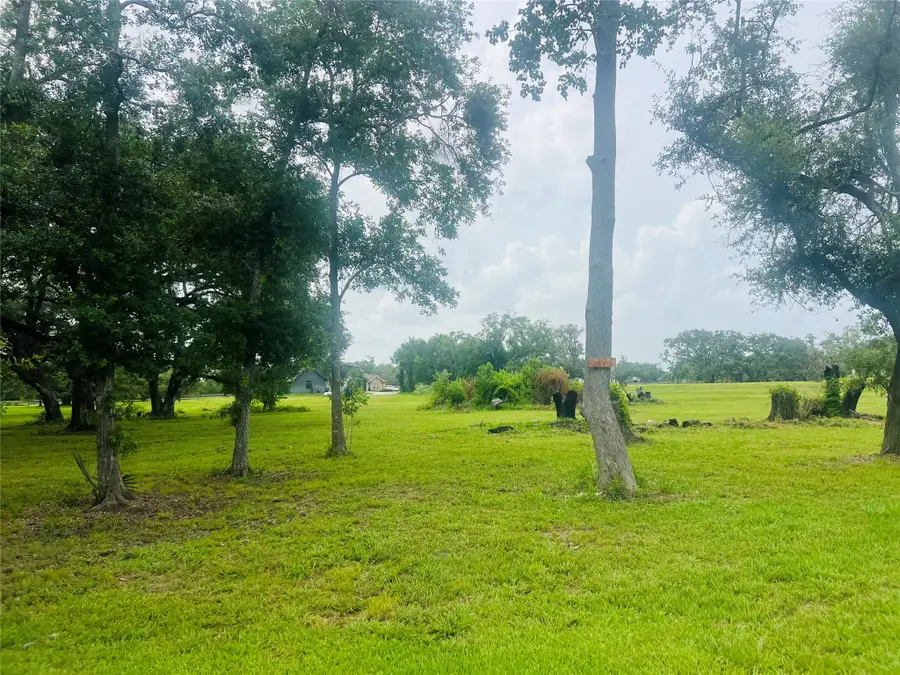 375 Thousand Oaks Drive, Angleton, TX 77515 - #3