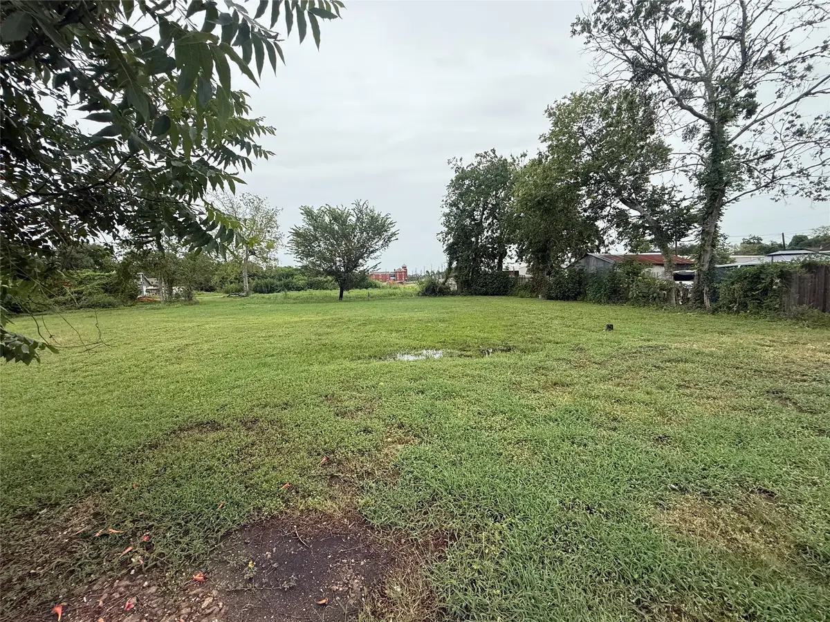 206 N 10th Street, Richmond, TX 77469 - #1