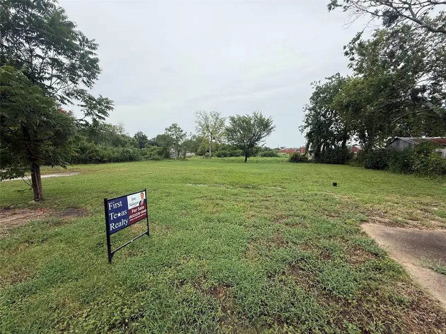 206 N 10th Street, Richmond, TX 77469 - #2